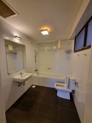 The Cairnhill (D9), Condominium #545755641